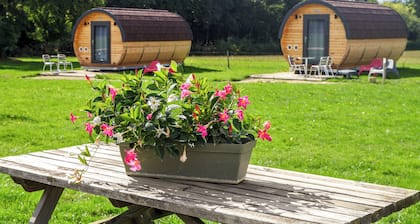 Oeno-tonneaux - Aligoté