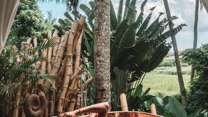 A wooden tub filled with water and rose petals, a bamboo structure, and a view of palm trees and a grassy field. - Stone House (Ubud)
