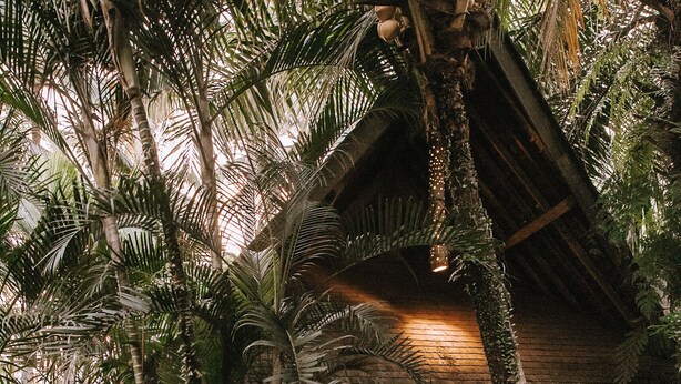Longhouse