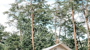 A white tent with a pitched roof, set on a gravel surface, surrounded by tall trees. - Luxury Spacious Glamping, Lake View, Grill, Pool, Pet Friendly, Swim (Delta)