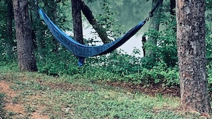 A hammock suspended between trees with string lights above, overlooking a body of water. - Luxury Spacious Glamping, Lake View, Grill, Pool, Pet Friendly, Swim (Delta)
