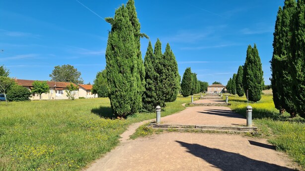 A dirt path leading to a building with a tiled roof, surrounded by tall cypress trees and a grassy field with yellow flowers.