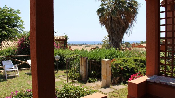 Un jardín con vista al mar, una palmera y una pérgola.
