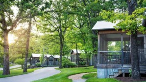 Une rangée de cabanes en bois dotées de grandes fenêtres, entourées d’une végétation luxuriante et d’arbres.