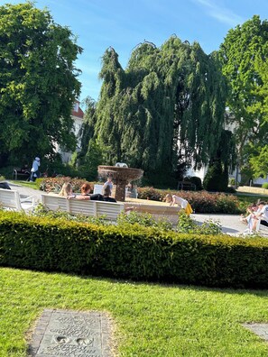 Terrein van de accommodatie