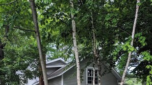 Une maison à deux étages, dotée d’un toit végétalisé, entourée d’une végétation luxuriante et d’arbres.
