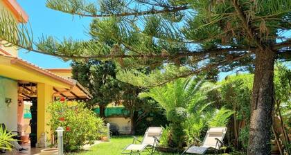 Lovely house with garden