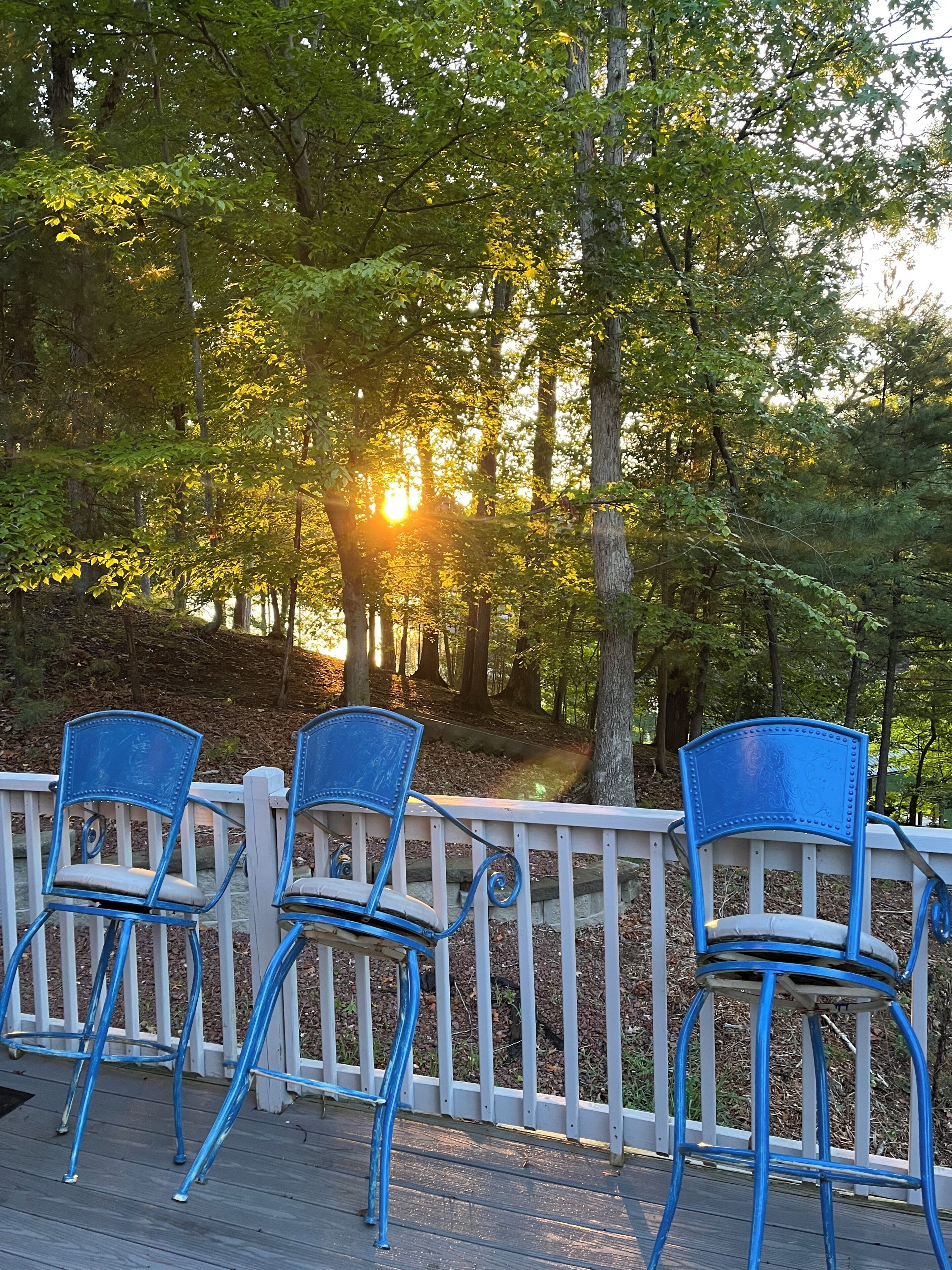 A deck with blue chairs and a white railing overlooking a forested area.
