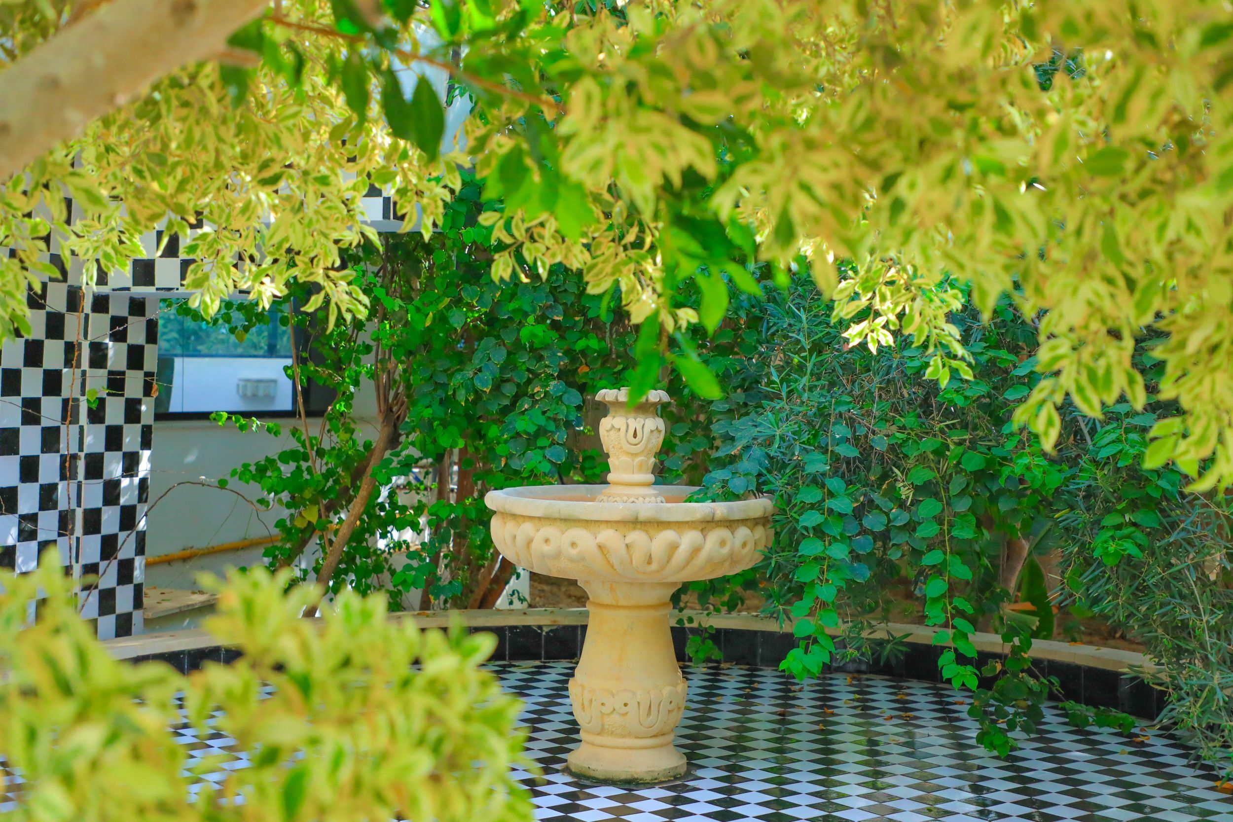 A checkered floor, a stone fountain, and lush greenery.