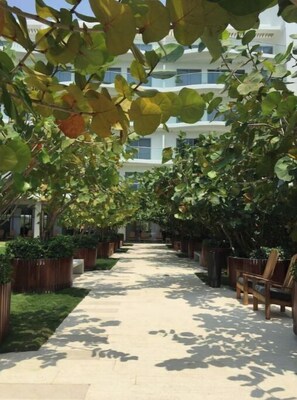 Property grounds - EXCLUSIVE CONDO, SEA, PEACE AND NATURE (Manzanillo del Mar)