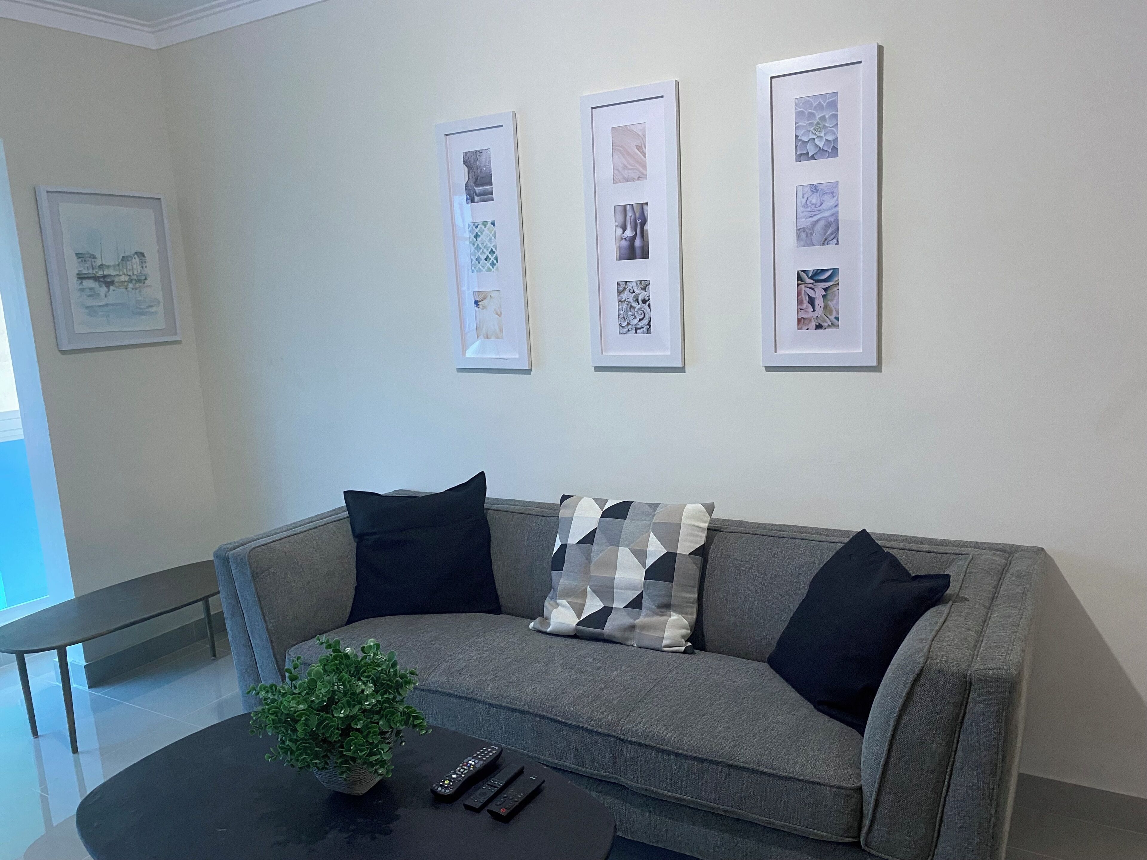 Een woonkamer met een grijze bank, zwart en patroonrijk kussens, een zwarte salontafel met een potplant, en drie ingelijste foto’s aan de muur.