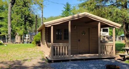 Primitive Cabin PC2