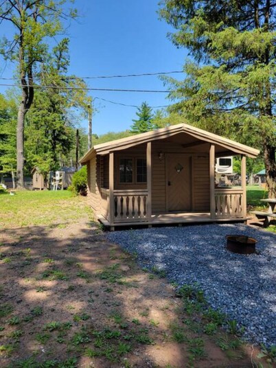 Primitive Cabin  PC2