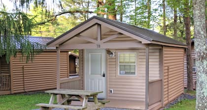Rustic Cabin 73 w/ 4 Beds