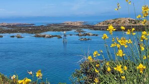 A coastal landscape with clear blue water, rocky terrain, and yellow flowers in the foreground. - L'escale, Appartement au Cœur de Granville (Granville)