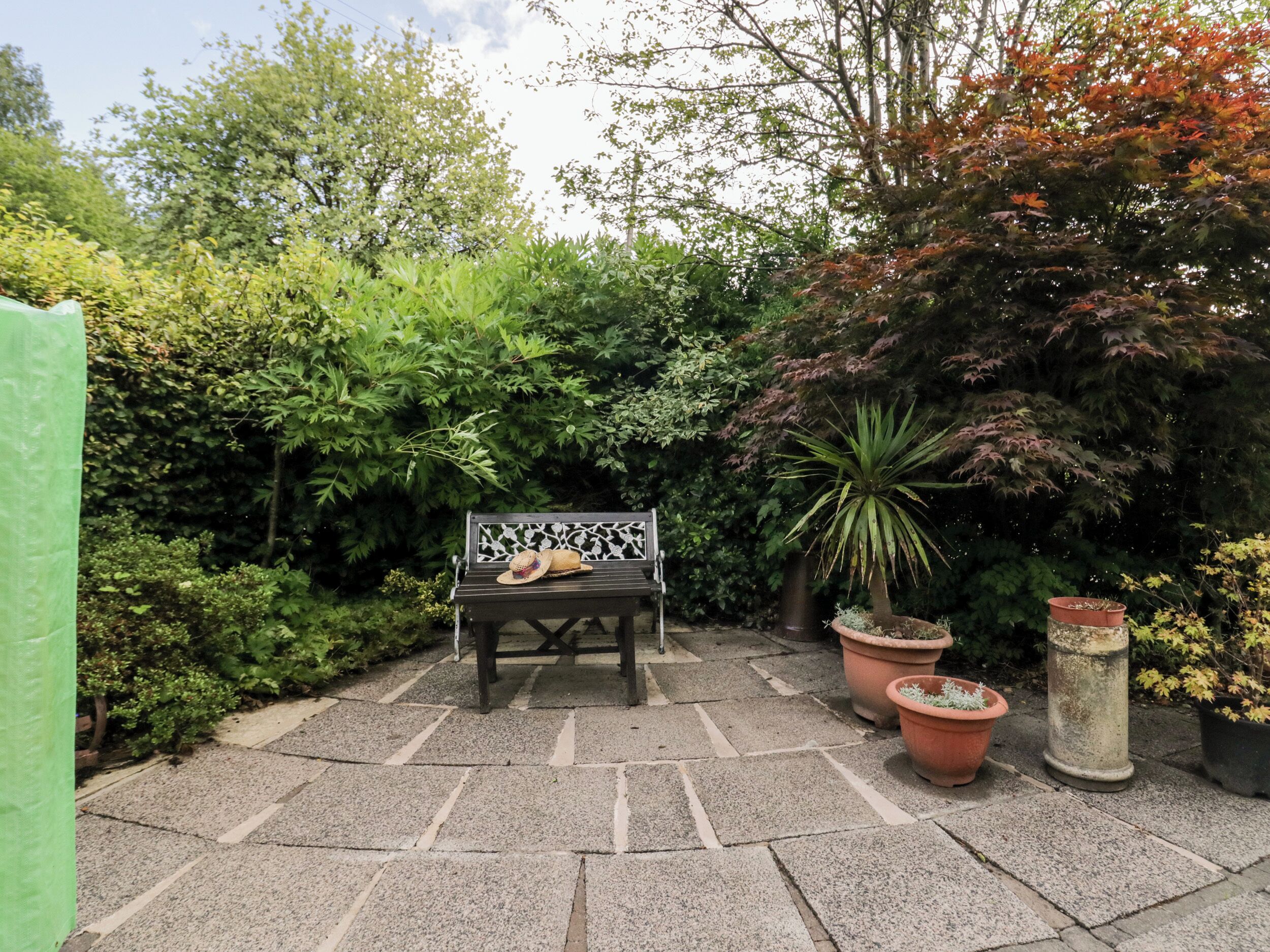 A garden patio with a bench, potted plants, and a variety of trees and shrubs.