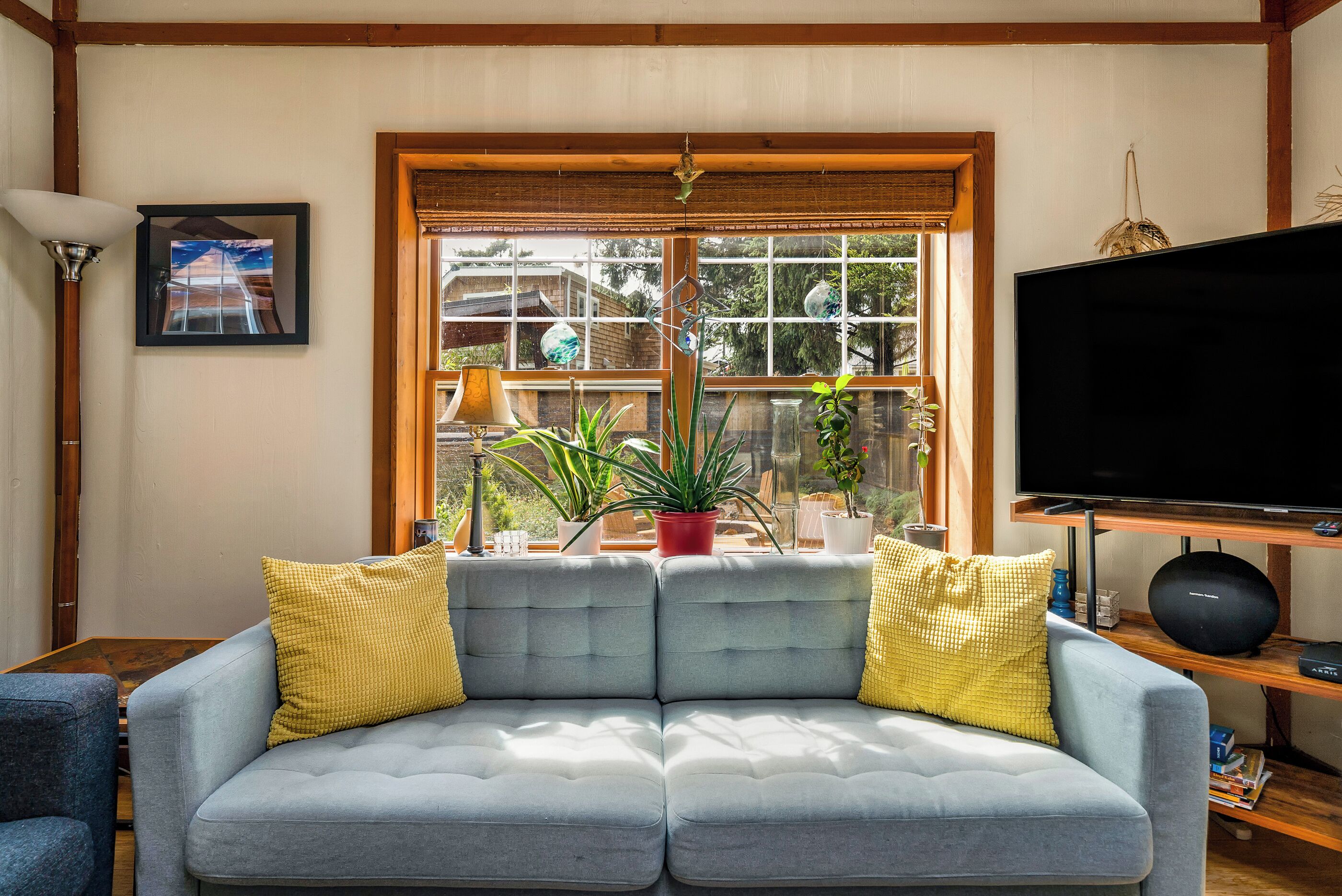Ein Wohnzimmer mit einer Couch, einem Fernseher und einem Fenster mit Pflanzen.