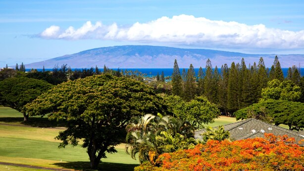 Unclassified image, 1 of 41, button - Kapalua Golf Villas | Ocean View 1 BR | Car Incl. w/ 6+ Nights | KGV-20T8 by KBM (Lahaina)