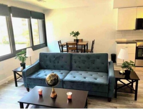 New Cozy exquisite condo in downtown Silver Spring