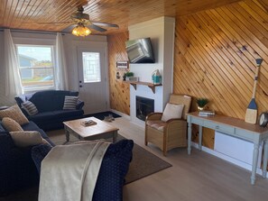 Smart TV, fireplace, books