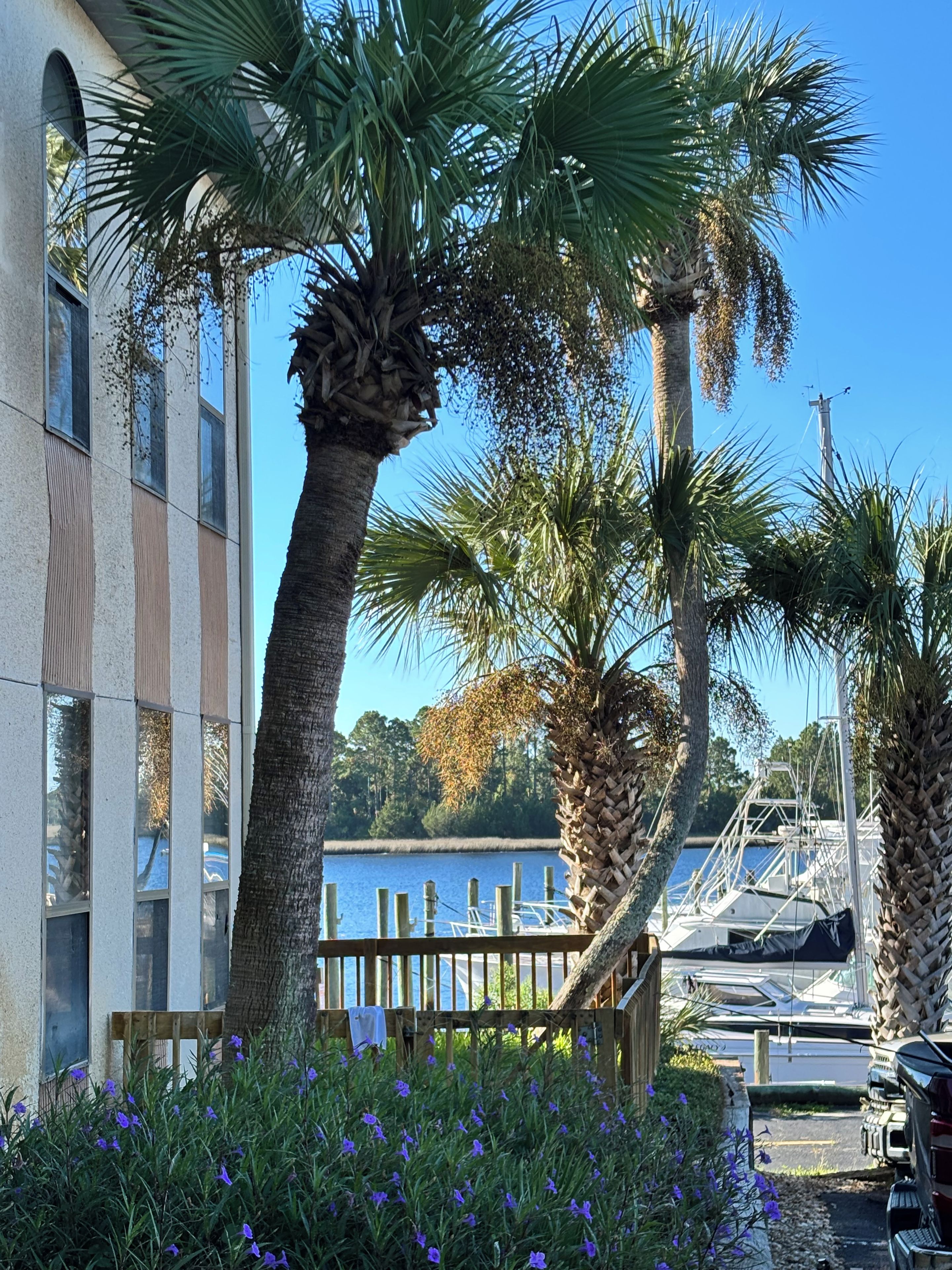 A waterfront property with a dock, palm trees, and a building with large windows.