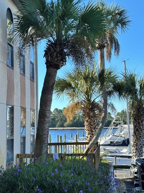 A waterfront property with a dock, palm trees, and a building with large windows.