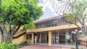 Um edifício com fachada amarela, escadaria e área de entrada coberta com vasos de plantas.