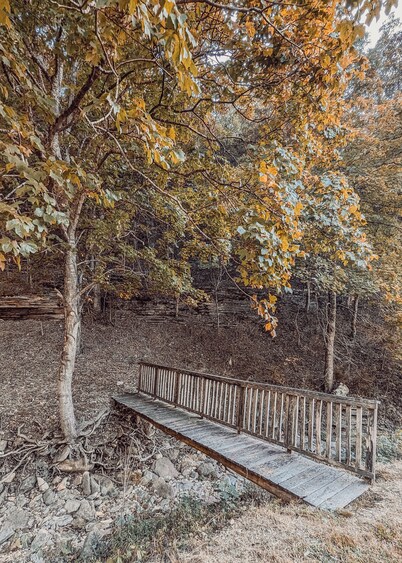 Elk View Cabin in Boxley Valley - 5 min to the Buffalo River!