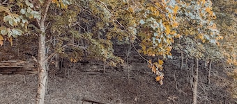 Elk View Cabin in Boxley Valley - 5 min to the Buffalo River!
