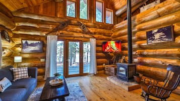 Smart-TV, Kamin