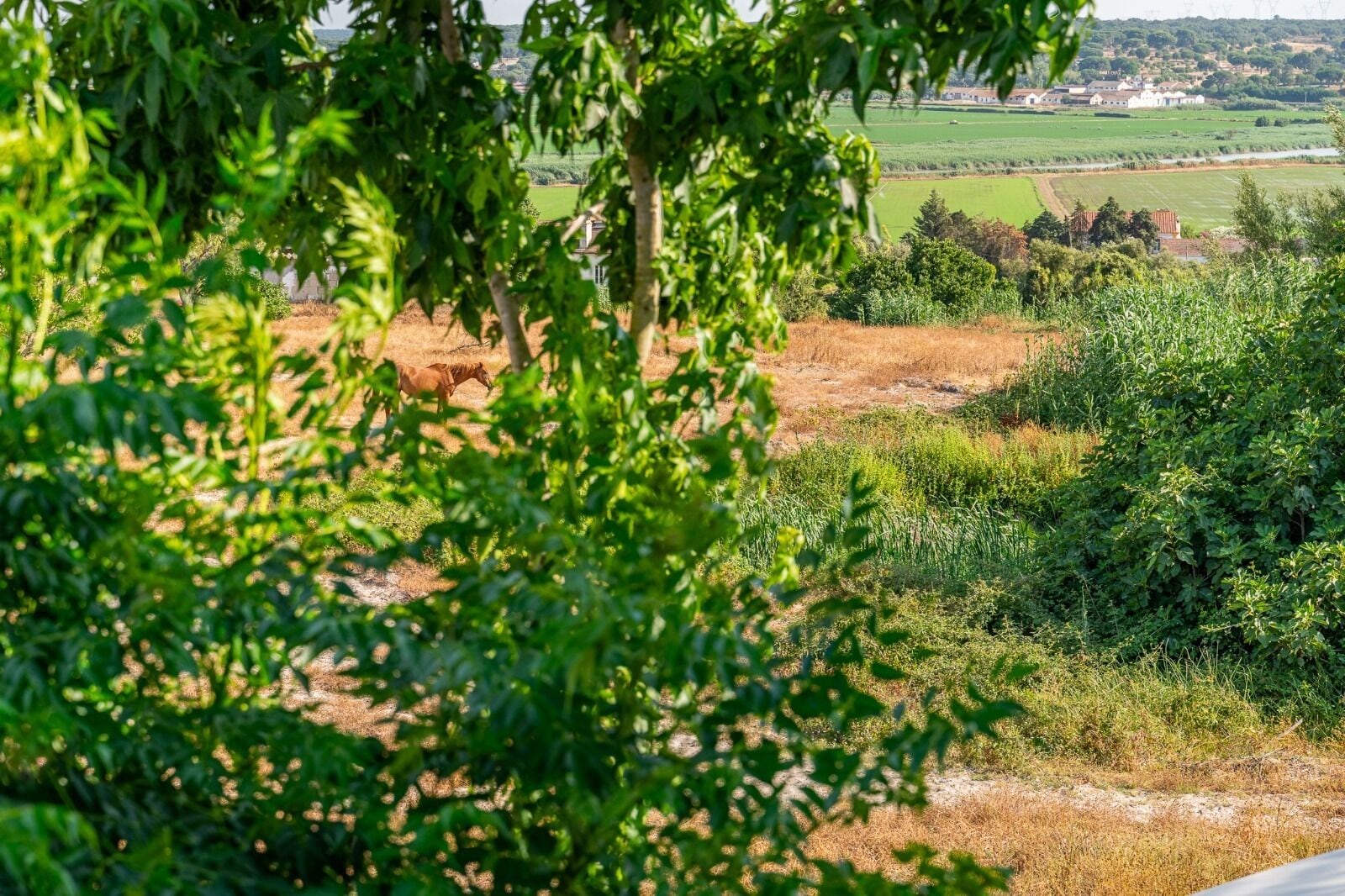 Foto - 4Ever Palace Design&Nature