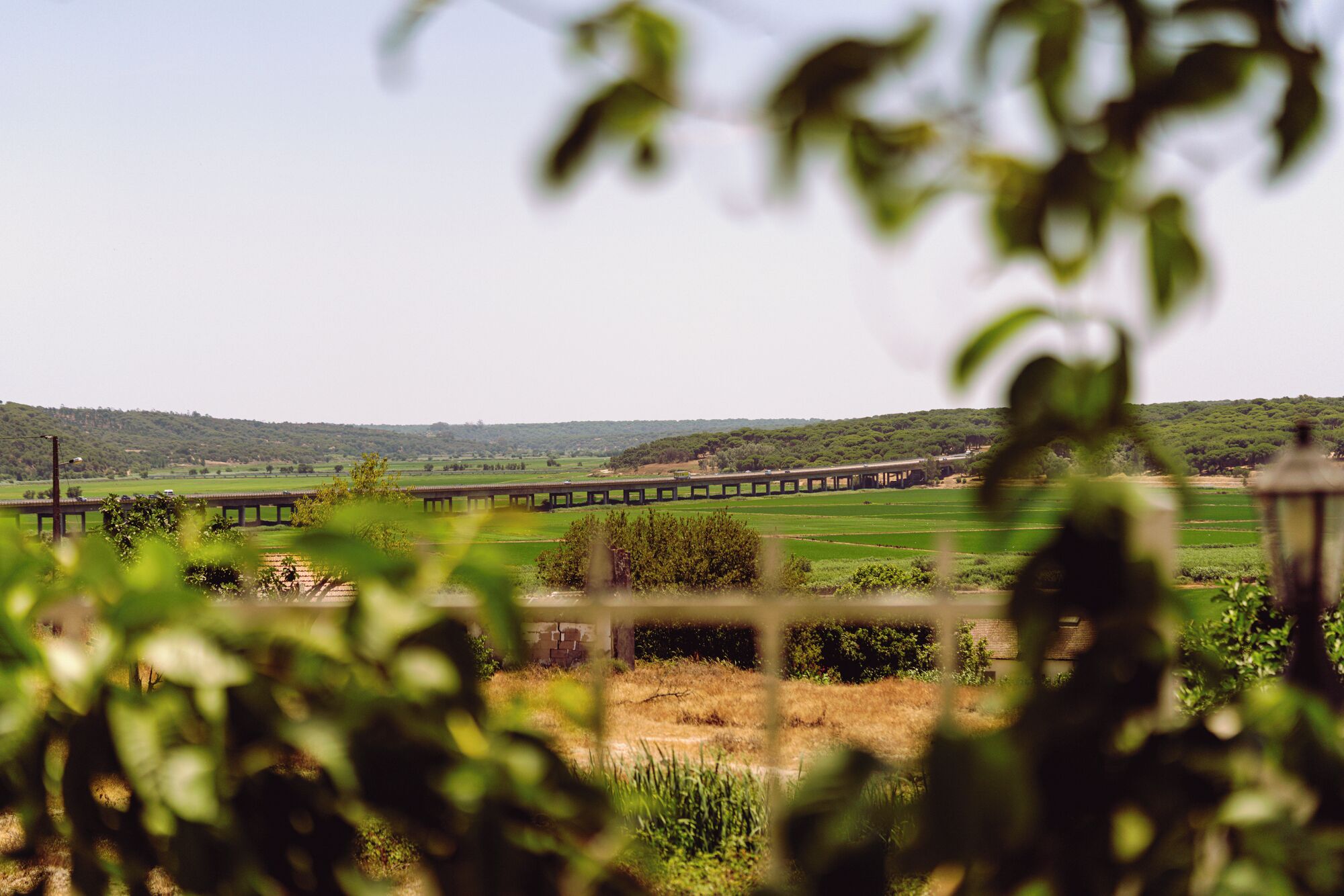 Foto - 4Ever Palace Design&Nature