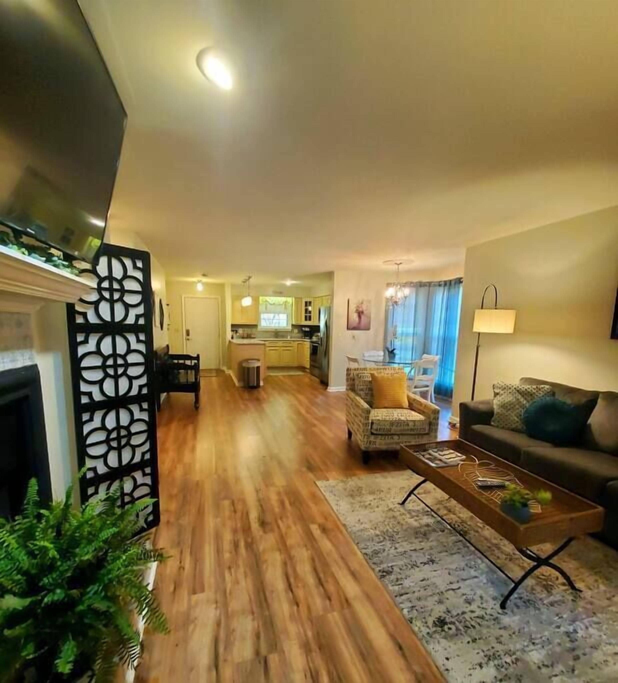 Smart TV, fireplace, books