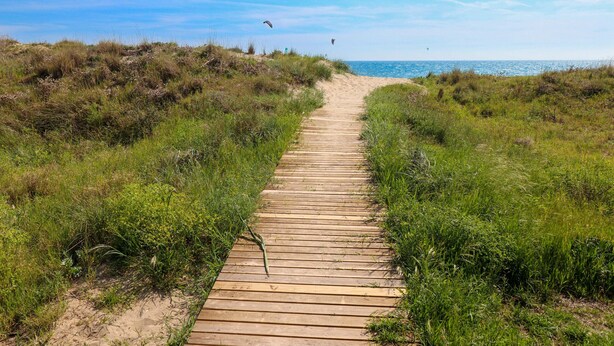 A wooden boardwalk leading to a beach with dunes and a clear sky. - Beachfront with large garden  - Los Monteros Palm Beach (Marbella)