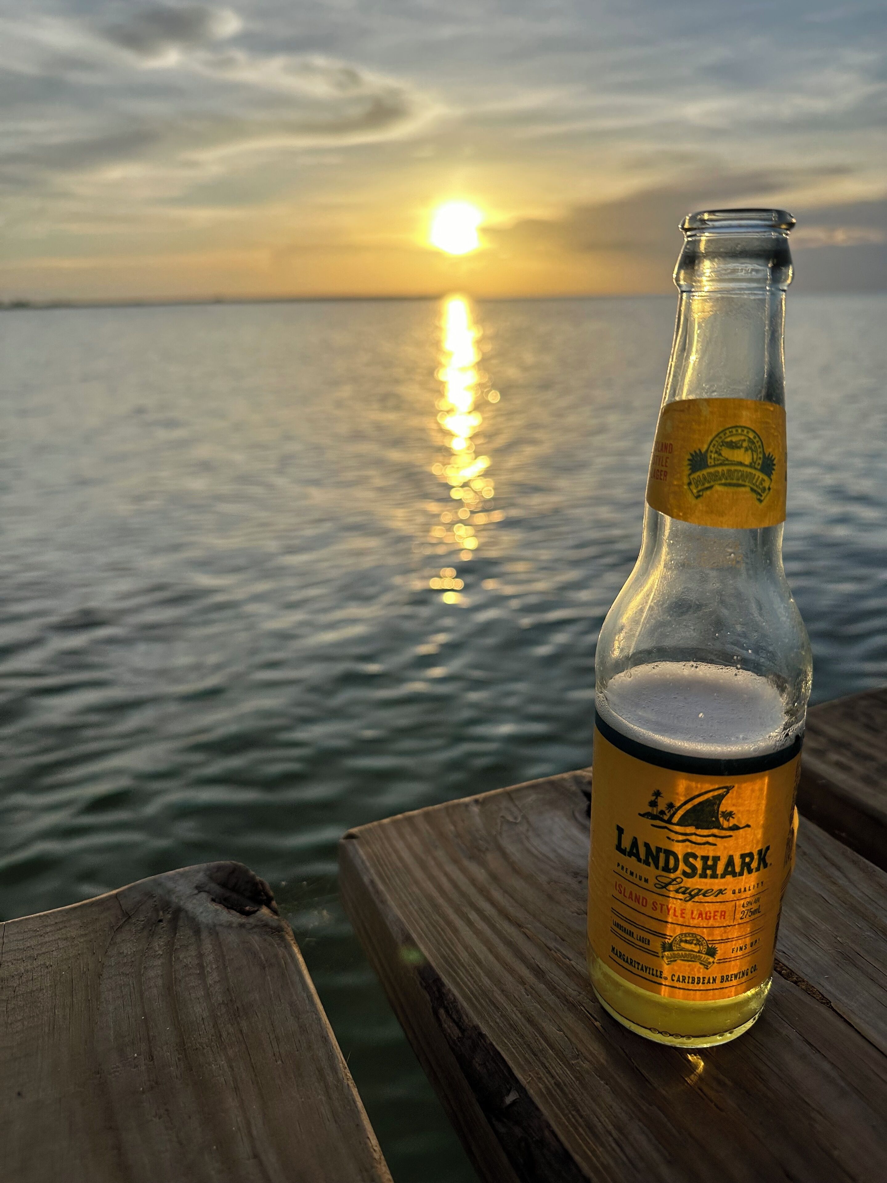 Una botella de cerveza Landshark Island Style sobre una mesa de madera, con vista al atardecer sobre el agua.