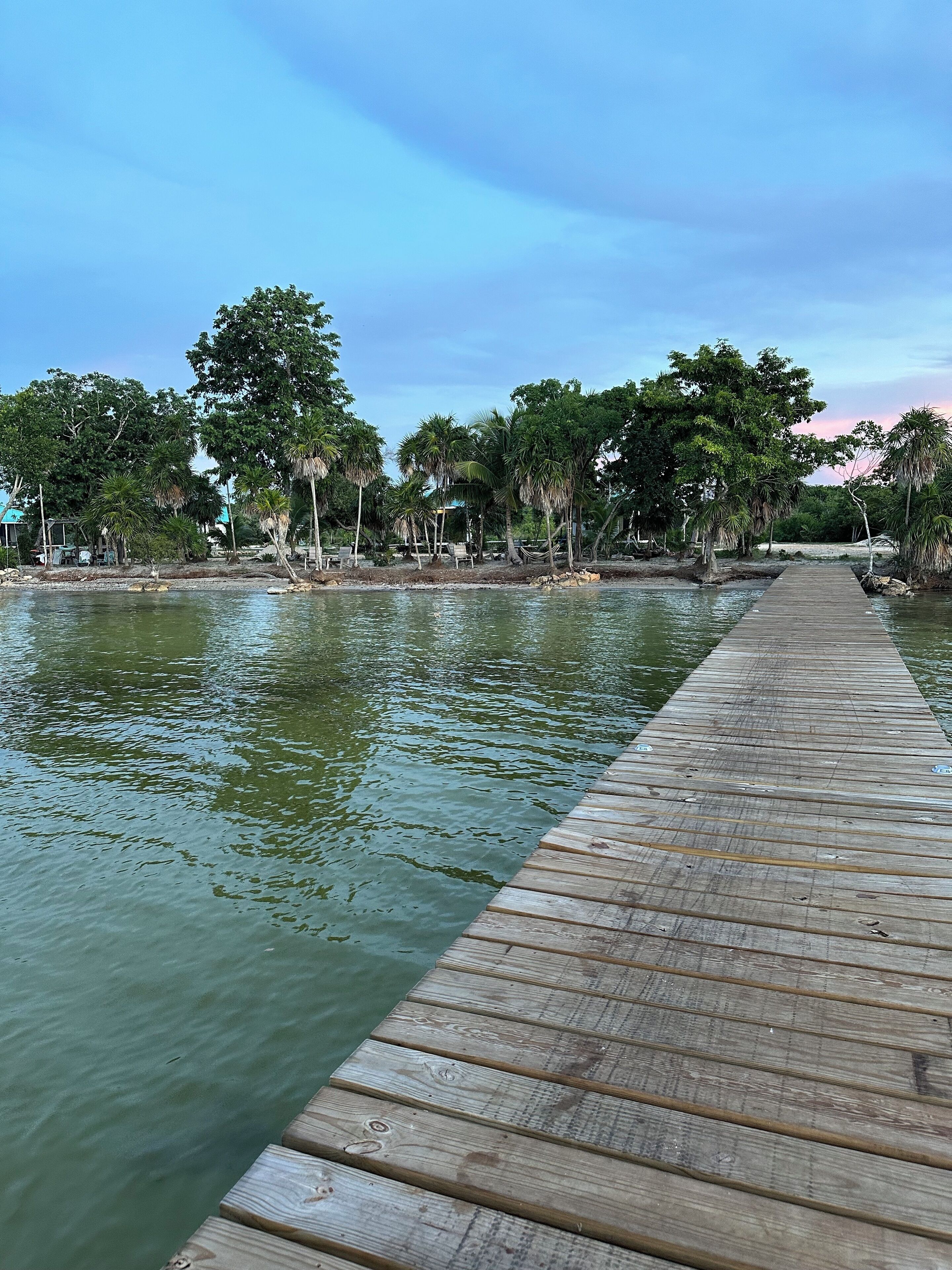 A wooden pier extending into calm water, surrounded by lush greenery and trees.