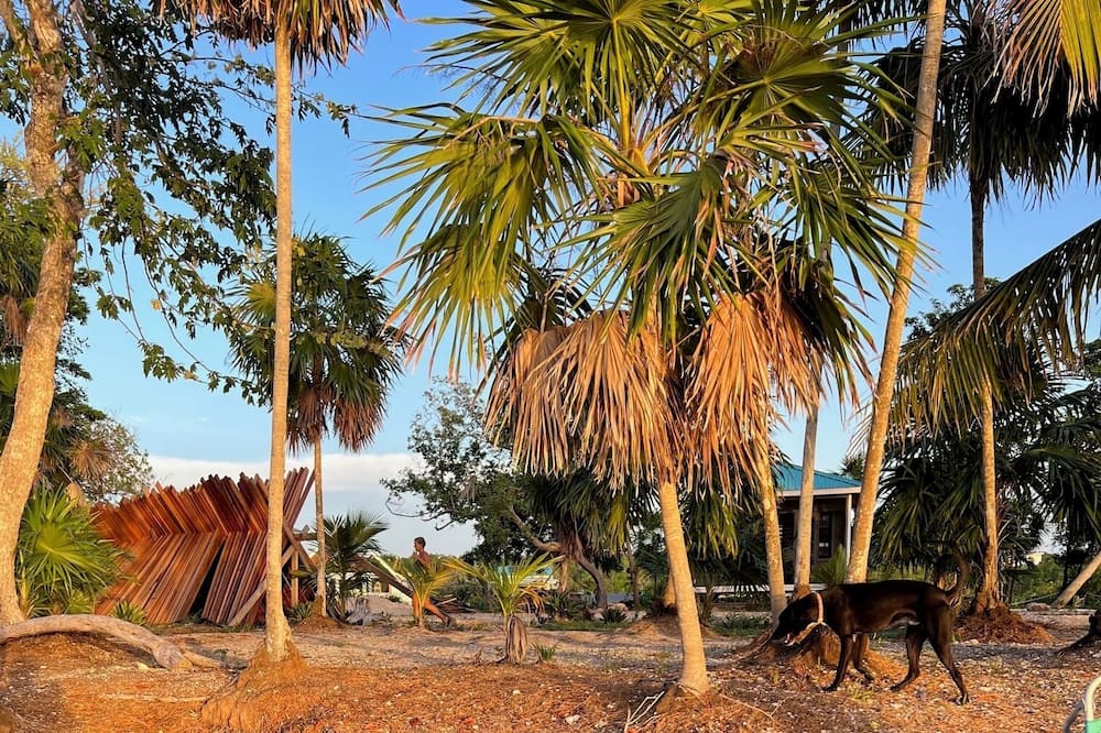 Best Cheap Resorts In Bacalar From 38 Resortmexico best-cheap-resorts-in-bacalar-from-38-resortmexico