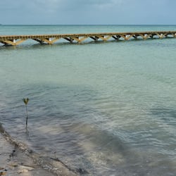 Private beach, sun-loungers, beach towels, beach massages