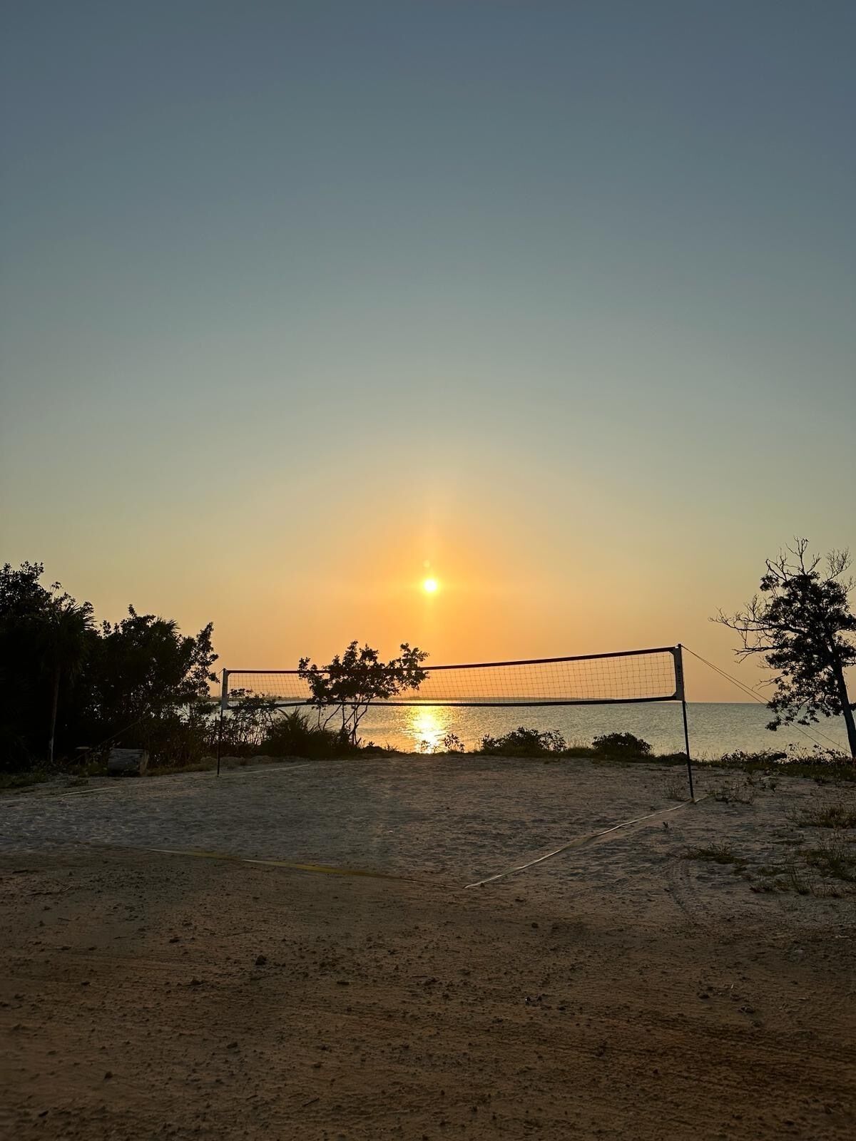 En strandvolleybollplan i solnedgången, med ett nät i förgrunden och träd på sidorna.