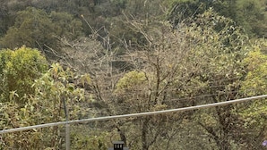 Un tavolo di legno e due sedie di legno con una lanterna sopra, sullo sfondo di alberi e una recinzione.