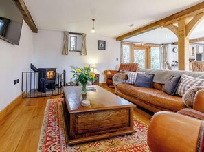 Smart TV, caminetto, lettore DVD, libri