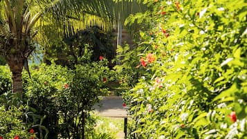 Escadaria
