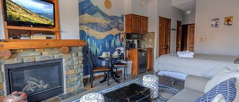 TV, fireplace, books