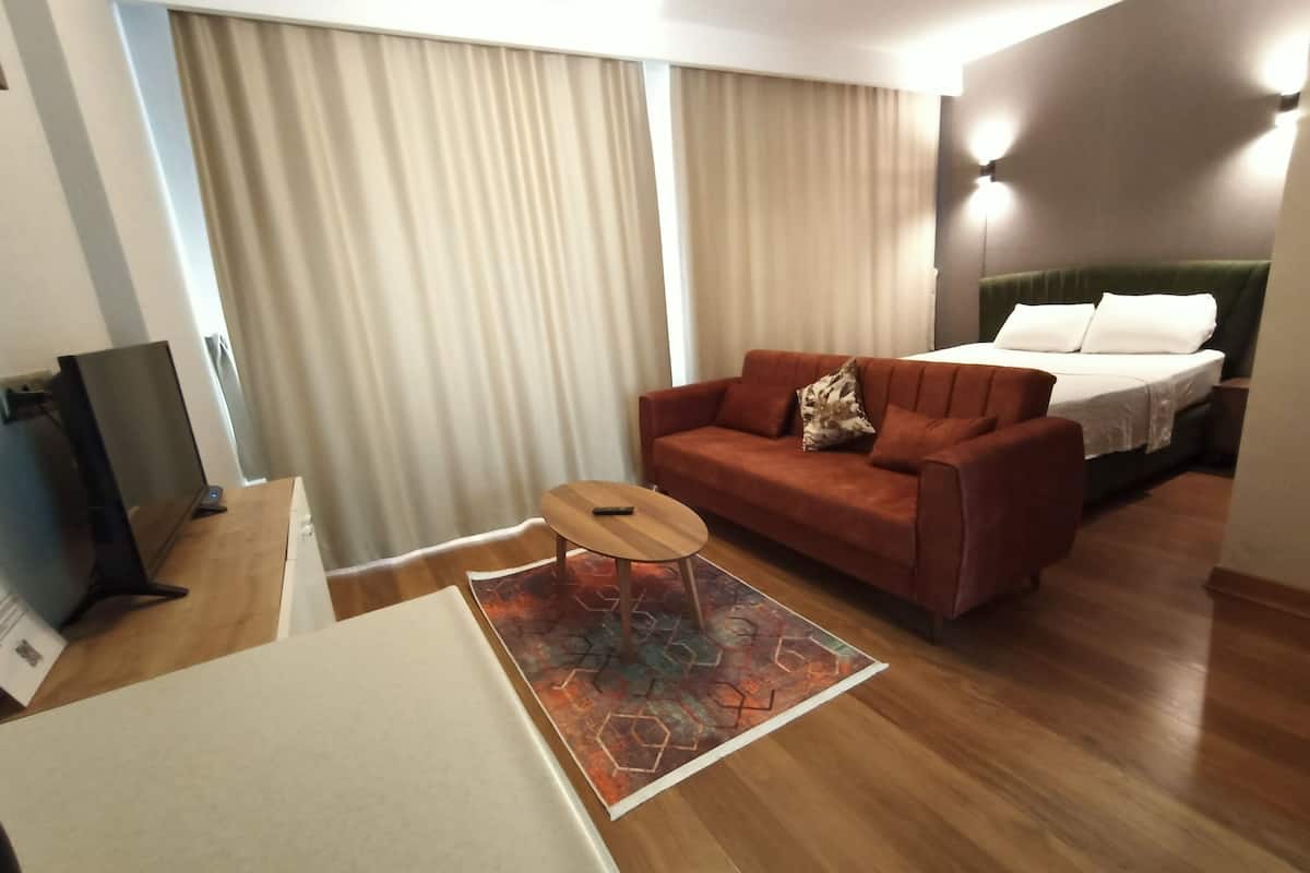 Economy Studio Suite | Desk, free WiFi