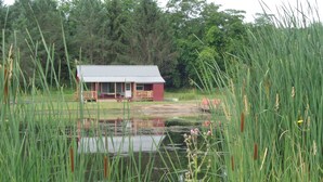 A rustic cabin with a metal roof, surrounded by tall grasses and a pond.