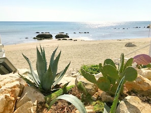A beach with large rocks and cacti in the foreground, and a sandy beach with rocks in the background. - Studio Vesna for 2, in Zambratija (Zambratija)