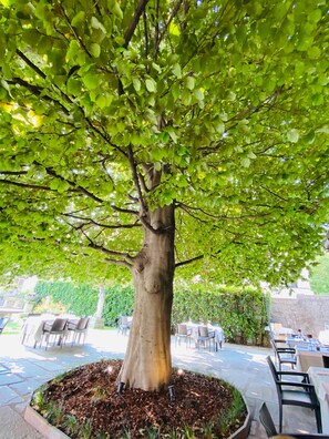 Exterior - Villa Nasti Hotel Ristorante (Canzo)