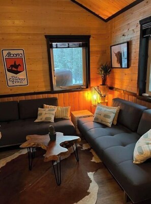 Fireplace, books