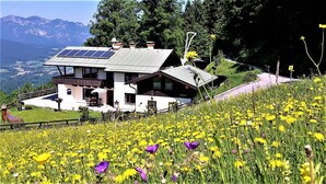 Un albergue de montaña con paneles solares, rodeado por un campo de flores amarillas y florecillas moradas, con vistas a montañas distantes.
