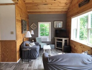 Smart TV, fireplace, DVD player, video library